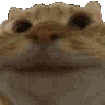 :2CatYes: