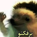 :emoji_21:
