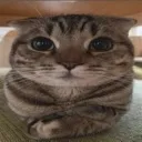 emoji_24