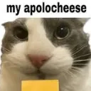 my_apolocheese