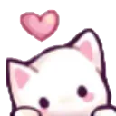 kitty