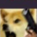 Shiba Inu dog looking angry while holding a black handgun in its paw.