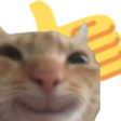 ThumbsUpCat