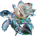 :turtleshiny: