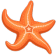 :01_starfish:
