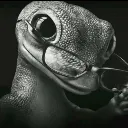 Genuinely_Lizard