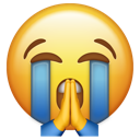 :emoji_52: