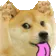 DogMeme5