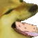 DogMeme6