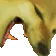 DogMeme7