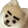 DogMeme13