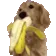 DogMeme15