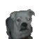 DogMeme18