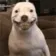 DogMeme87