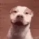 DogMeme90
