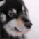 DogMeme92