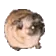DogMeme93