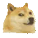 DogMeme26
