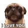 DogMeme28