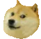 DogMeme30
