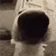 DogMeme34