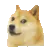 DogMeme36