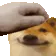 DogMeme37