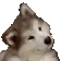 DogMeme46