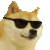 DogMeme49