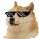 DogMeme50