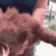 DogMeme51