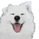 DogMeme58