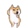 DogMeme60