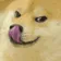 DogMeme70