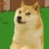 DogMeme71