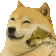 DogMeme72