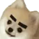DogMeme79