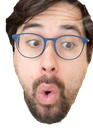 wolfe_pog Discord emoji