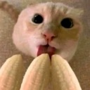 :emoji_12: