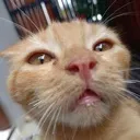 emoji_21