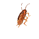 weeeweee animated GIF emoji from Iraq Art Basement