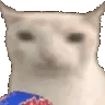cat_chips custom emote from tanhai | Social • Events • Gws • Nitro • Dating