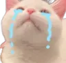 cry_cat Discord Emoji from tanhai | Social • Events • Gws • Nitro • Dating