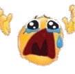NOOO animated Discord emote - L Y R 1 C  𓏵 F E V 3 R
