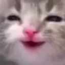 kitty2