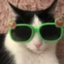 catgreensunglasses