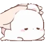 petbunny