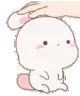 petbunny2