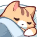 kittysleep