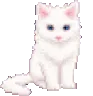 whitekitty